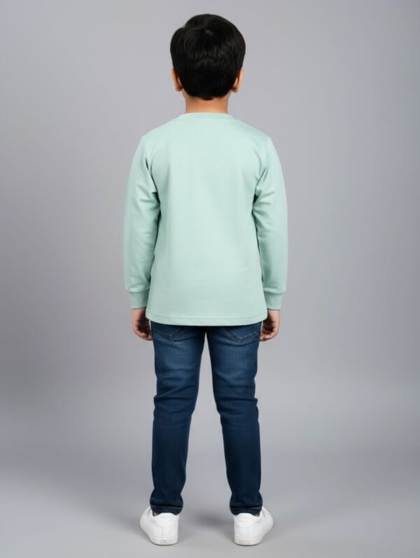 Funny Bear 100% Pure Cotton Full Sleeves Printed Baby Boy T shirt