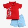 Funny Bear 100% Pure Cotton Half Sleeves Collar T shirt and Shorts for Boy Printed