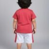 Funny Bear 100% Pure Cotton Half Sleeves Boys Shorts and Tee Shirts Set Printed