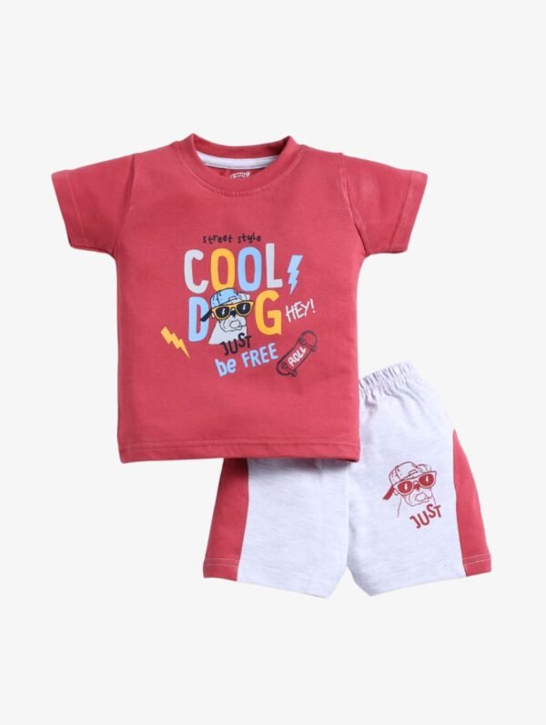 Funny Bear 100% Pure Cotton Half Sleeves Boys Shorts and Tee Shirts Set Printed